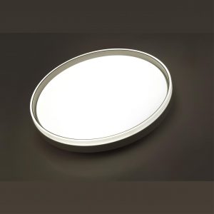 7631/DLN PALE SN 160 Светильник пластик/светло-серый LED 48Вт 3000/4000/6000K D390 IP43 CCT SAVI